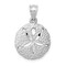 14K White Gold Sand Dollar Charm Pendant FindingKing Jewerly 23mm x 15mm